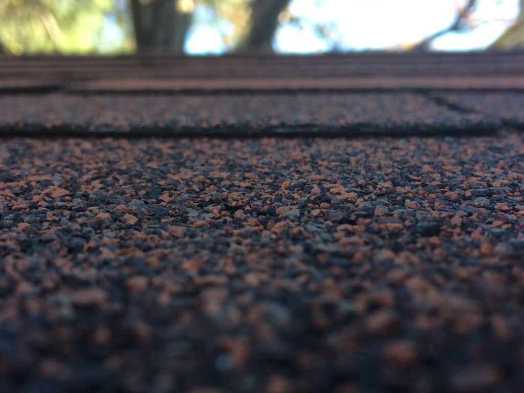 pexels morgantakesphotos 237907